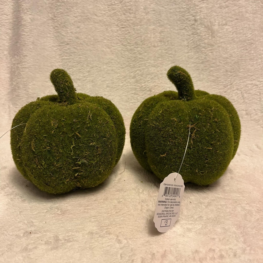 Target DISCONTINUED Moss Covered Pumpkin Set of Two